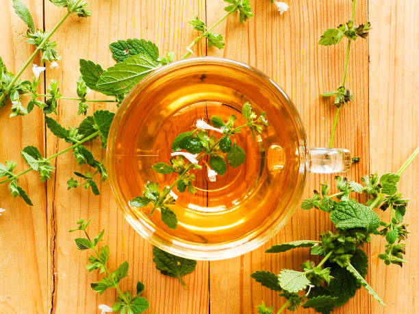cup of lemon balm tea