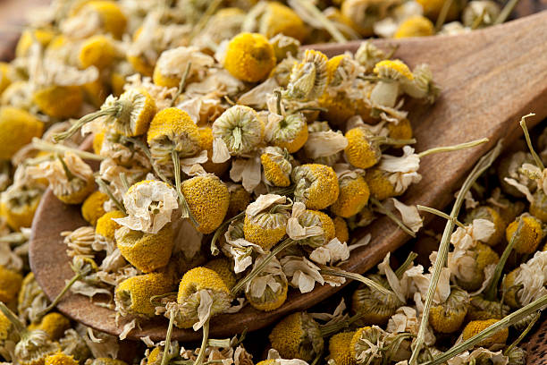 dried chamomile 