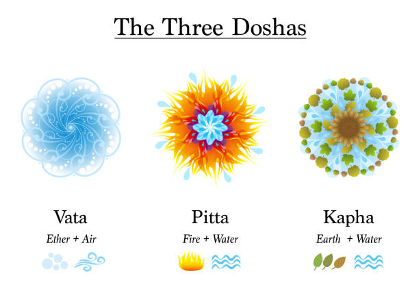 three constitutional principles (doshas: vata, pitta, and kapha)