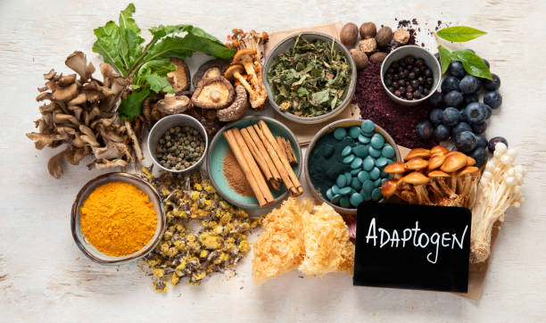 Adaptogens