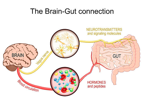 istockphoto 2210901663 612x612