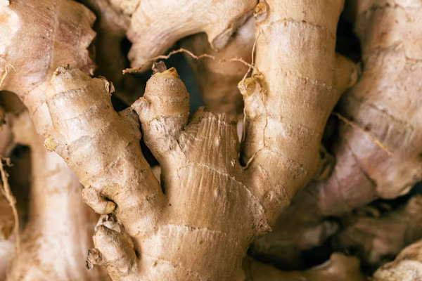 Home Ginger for Digestion, Nausea & Gut Health: Complete Guide (2026)